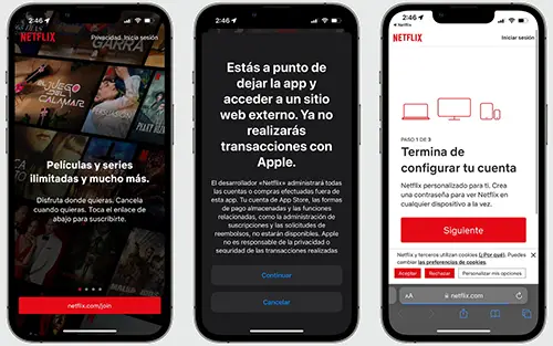 Netflix no aceptará pagos de suscripciones de la App Store – Telemundo  Fresno